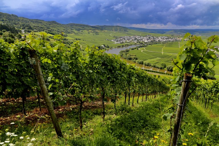 MOSELTOURER Zummethoehe Leiwen IMG 2966 768x512