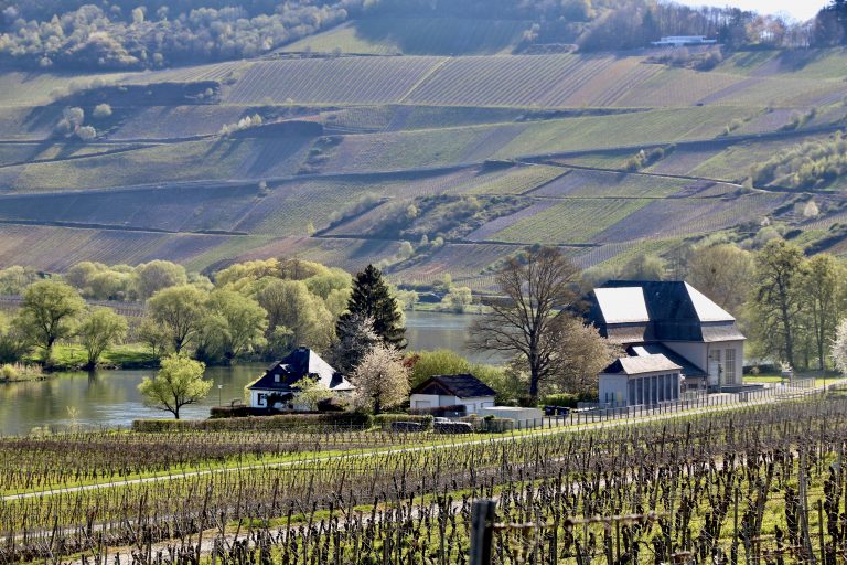 MOSELTOURER Dhronkraftwerk Leiwen IMG 2478 768x512