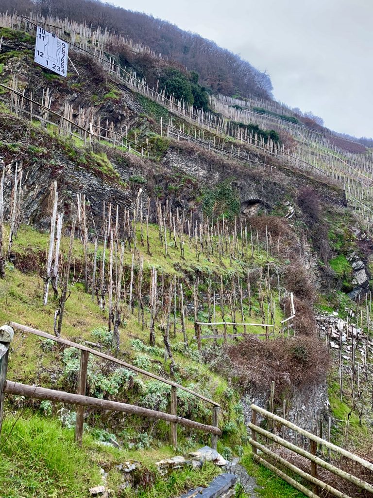 MOSELTOURER Kulturlandschaft Apotheke IMG 4083 768x1024