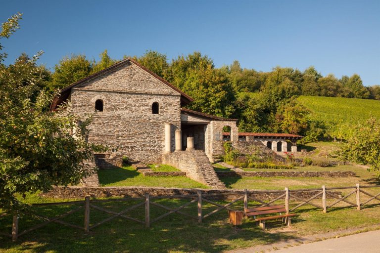 ARGO 062 Roemisches Landgut Longuich Bild 1 768x512