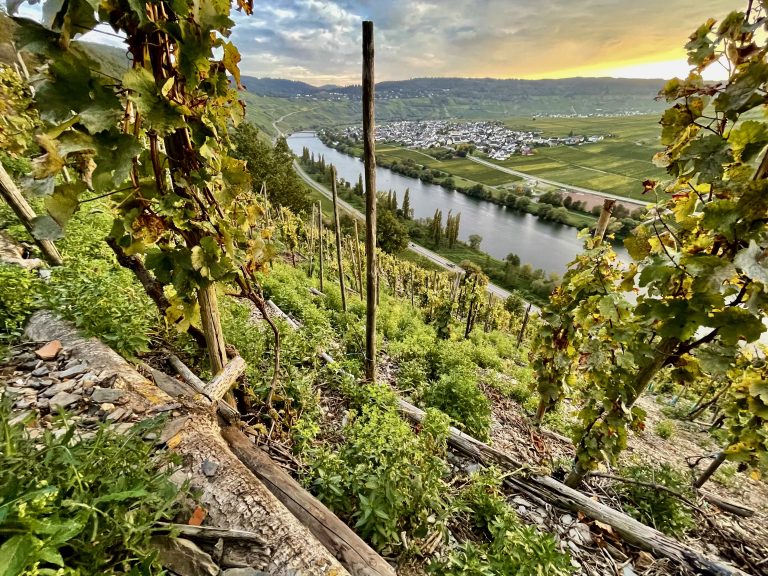 MOSELTOURER Kulturlandschaft Sonnenuhr IMG 0384 768x576