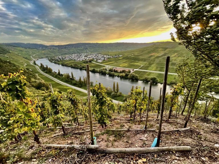 MOSELTOURER Kulturlandschaft Sonnenuhr IMG 0387 768x576