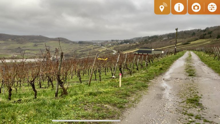 MOSELTOURER Roemische Villa Bohnengarten IMG 1250 768x432