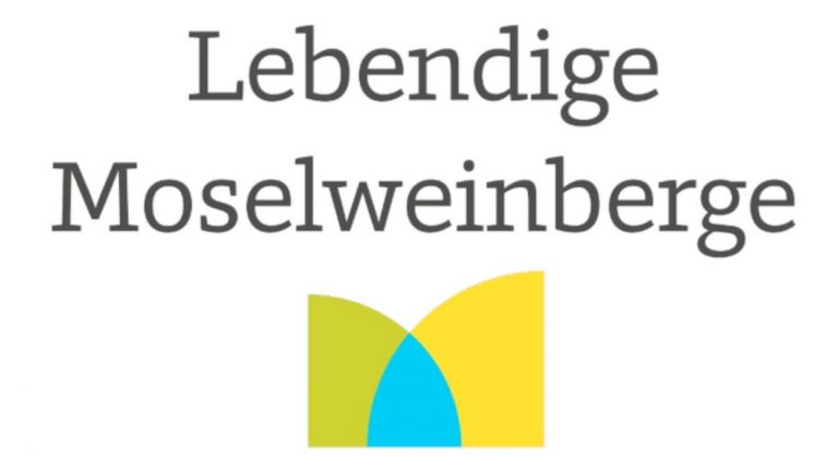 REGIONLEIWEN DLR 2025 10 31 768x432