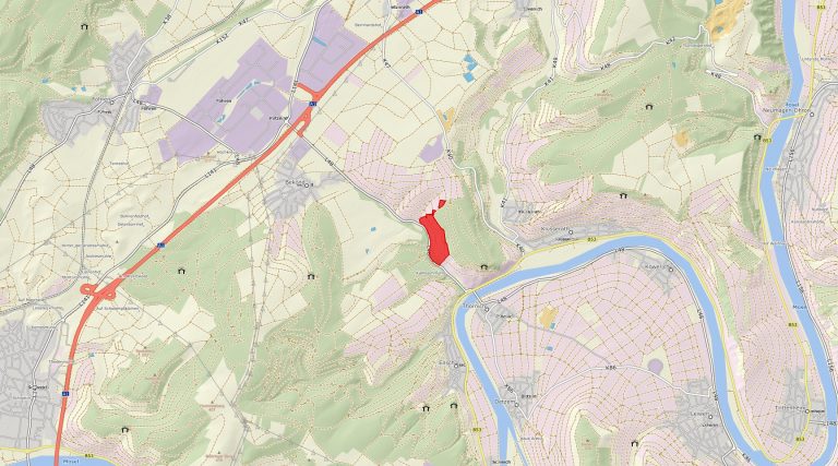 LWK Weinlage 410816 Thoernicher Enggass 2025 12 01 768x427