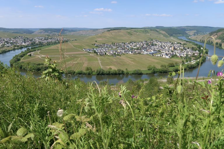 MOSELTOURER Aussichtspunkt Zummethoehe Leiwen G7X IMG 5207 768x512