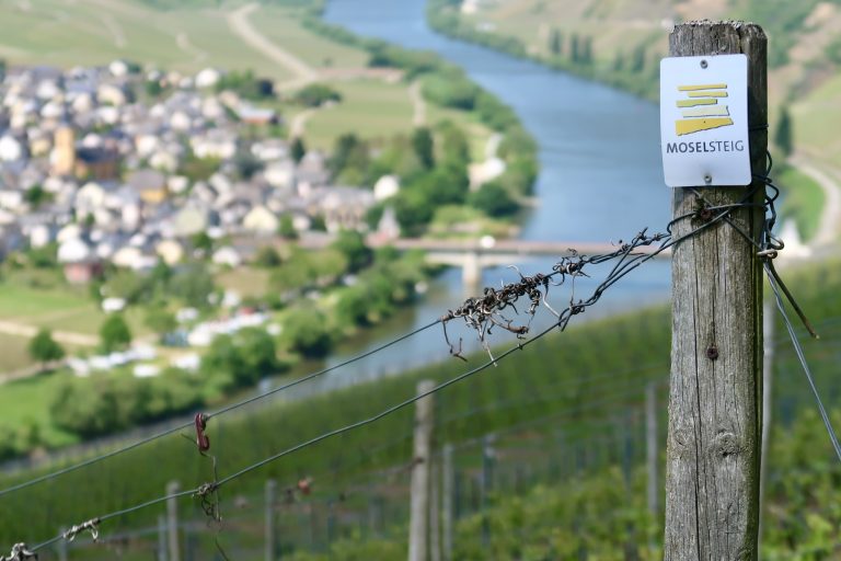 MOSELTOURER Aussichtspunkt Zummethoehe Leiwen G7X IMG 5235 768x512