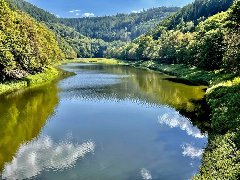 MOSELTOURER Dhrontalsperre Leiwen img 9165 768x576