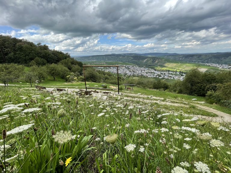 MOSELTOURER Moselkino Leiwen I12 IMG 7875 768x576