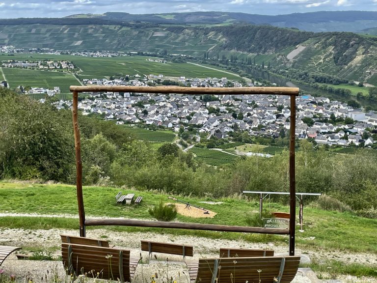 MOSELTOURER Moselkino Leiwen I12 MG 7873 768x576