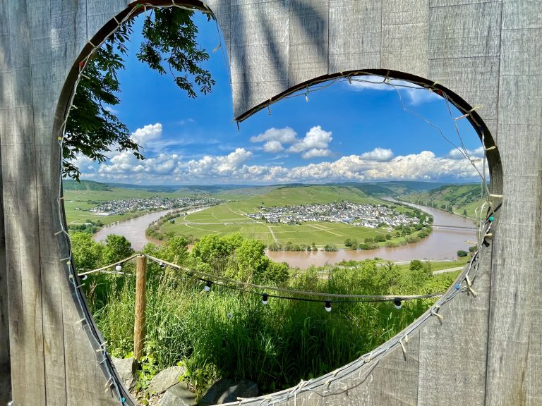 MOSELTOURER Moselliebe Weingarten IMG 4223 768x576