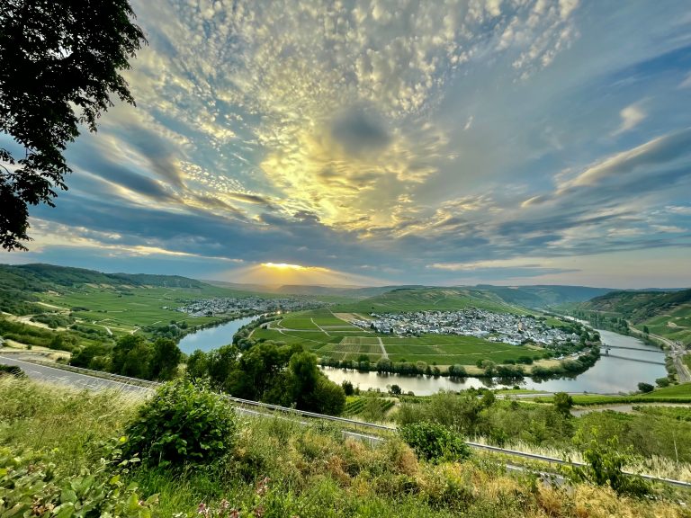 MOSELTOURER Moselliebe Weingarten Leiwen 2022 IMG 7103 768x576