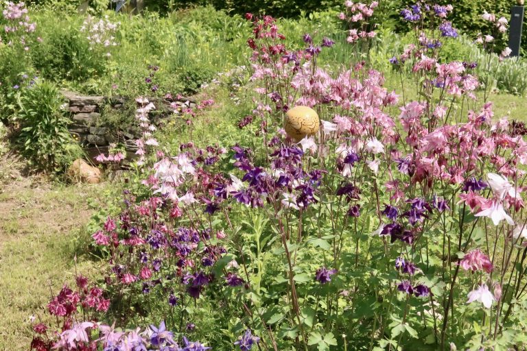 MOSELTOURER Skulpturenpark Bohnengarten Leiwen IMG 5101 768x512
