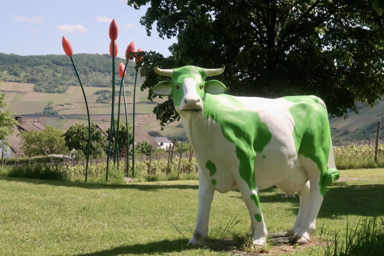 MOSELTOURER Skulpturenpark Bohnengarten Leiwen IMG 5107 768x512