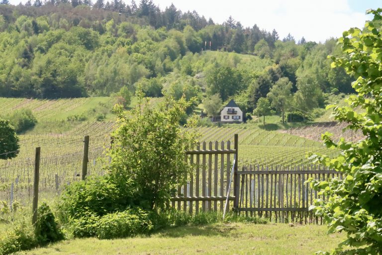 MOSELTOURER Skulpturenpark Bohnengarten Leiwen IMG 5113 768x512