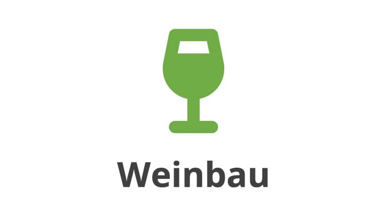 REGIONLEIWEN Weinbau 2026 91 19 768x432